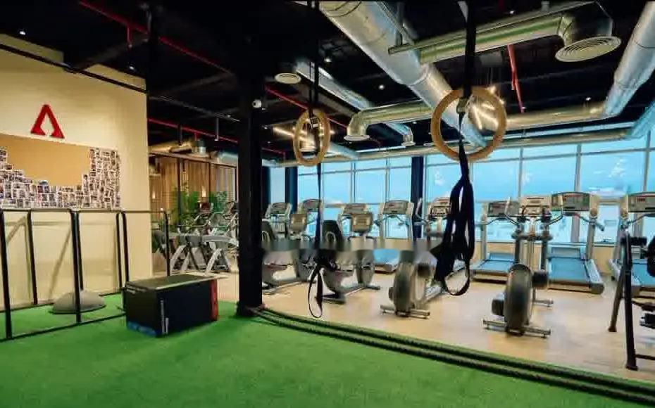 Calisthenics area